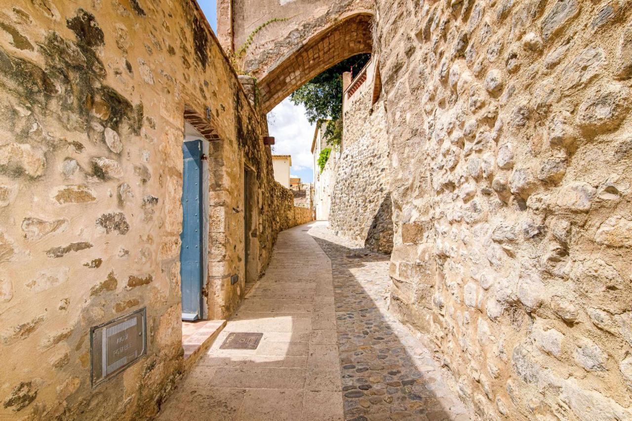 El Molino De Besalu Casa Con Jardin Villa Luaran gambar
